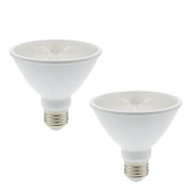 Par deals 10 bulb